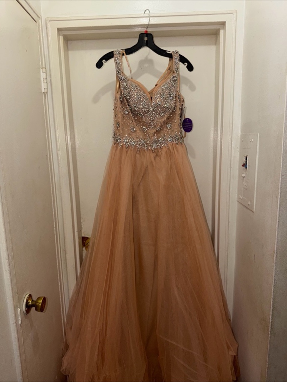 Elegant Beaded Tulle Prom Dress in Nude